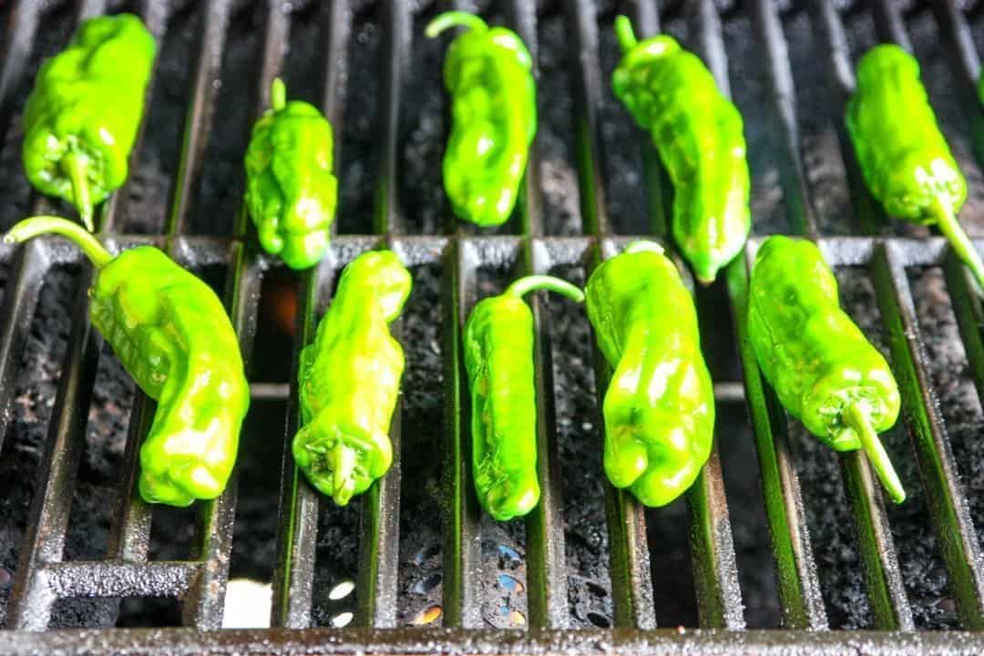 Shishito peppers on the grill
