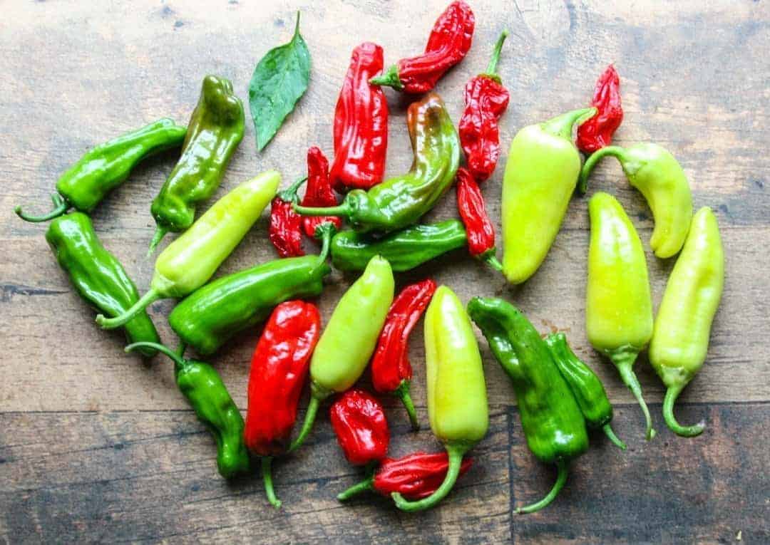 Banana and Shishito Peppers just picked