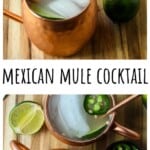 A cocktail in a copper mug.