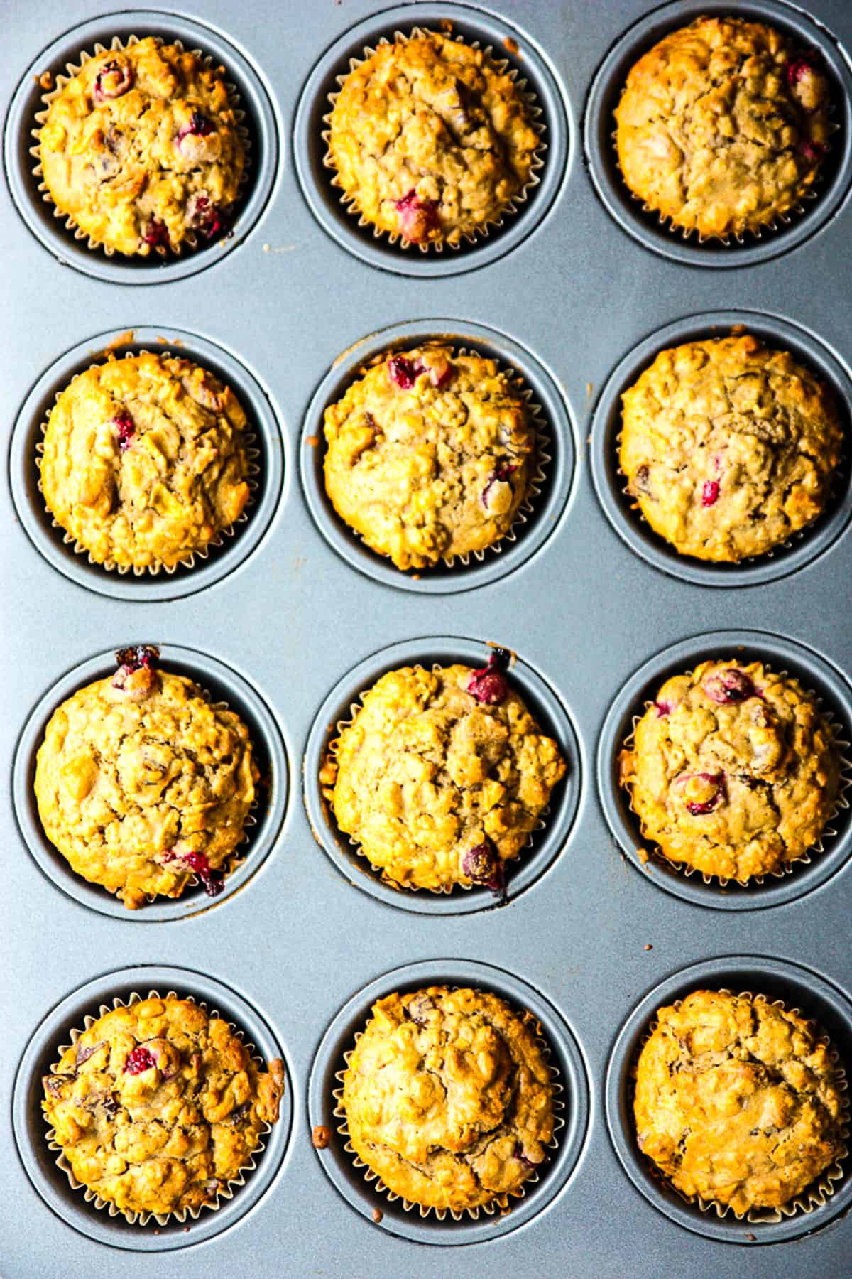 Freshly baked cranberry oatmeal muffins in a muffin pan.